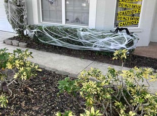 Bush Trimming by Broderick Belvin for Ladarious h. in Lakewood Ranch, FL