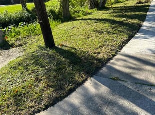 Lisa T.'s Lawn Service service result