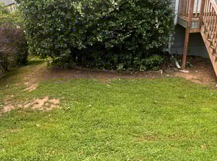 DOMINIC P.'s Bush Trimming service result
