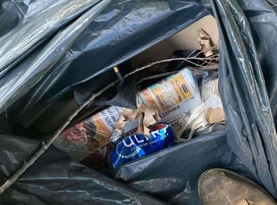 Terry S.'s Cleanups service result