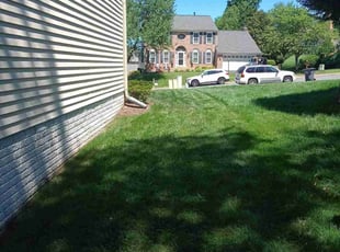 Emmett W.'s Lawn Mowing service result