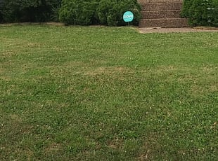 Cleanups by Chris Slone for Cameron S. in Louisville, KY