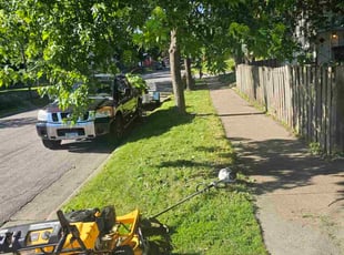 Cleanups by Natatia Frame for Krista D. in Saint Paul, MN