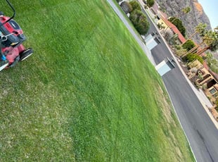 Leaf Removal by Eliu Hernandez for Chenshiang L. in Queen Creek, AZ