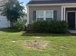 Bush Trimming by Timothy Pannell for Quiana J. in Greensboro, NC