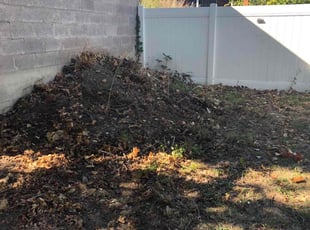 Zach P.'s Cleanups service result