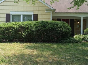 Bush Trimming by Devin Henderson for Evan B. in Bowie, MD