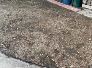 Leaf Removal by Heriberto Lopez for Nicole S. in Corpus Christi, TX