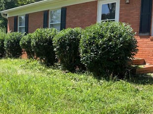 Bush Trimming by Peyton Joyner for Logan C. in Gastonia, NC