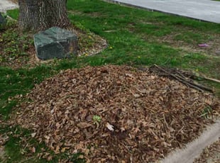 Leaf Removal by Kevin Rhyne for Rikhil B. in Madison, WI