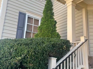 Bush Trimming by Gilbert Osorio for Dilbert M. in Bristow, VA
