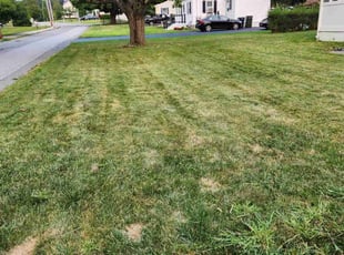 Karen H.'s Yard Cutting service result