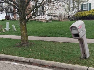 Sara M.'s Lawn Service service result