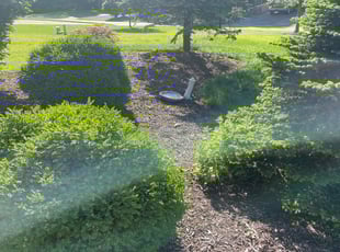 Weeding by Gary Andersen for Rachel S. in Milford, OH