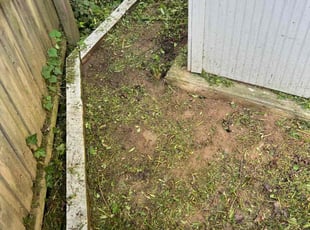 Weeding by Caree Keith for Wilhemenia D. in Glenarden, MD