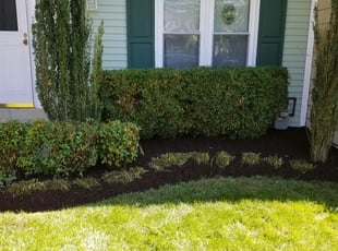 Mulching by Miguel Santos for Mary A. in Silver Spring, MD