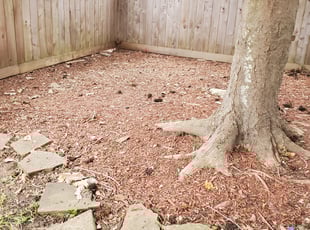 Leaf Removal by Geon Woo Kim for Chris C. in Sugar Land, TX