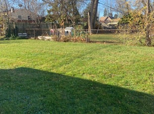 Leaf Removal by Ariel Maledon for Wanda M. in Sterling Heights, MI