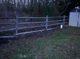 Leaf Removal by Robert Parker for Eva Z. in North East, MD