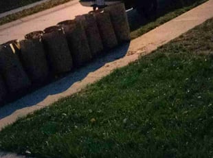 Leaf Removal by Charles Hamlin for April W. in Papillion, NE