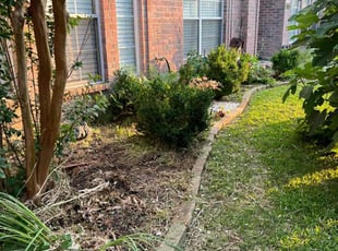 Weeding by Dusty Posey for Deborah Z. in McKinney, TX
