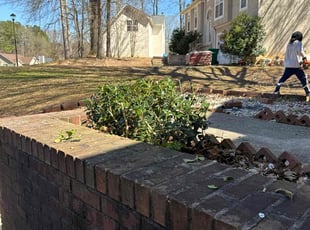 Bush Trimming by Samarrio Conney for Mattie S. in Jonesboro, GA