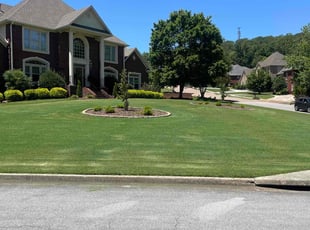 Ashley P.'s Yard Cutting service result