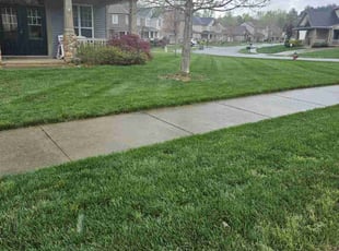 Mark B.'s Lawn Maintenance service result