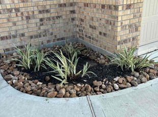 Weeding by Joe Gamache for ANN C. in Porter, TX