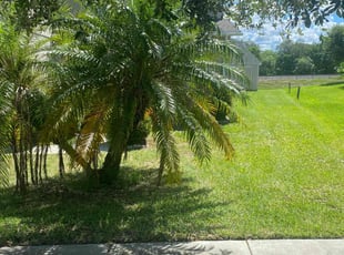 Iris M.'s Lawn Mowing service result