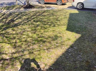 Leaf Removal by Brian Franz for Makeda H. in Chantilly, VA