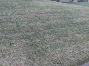 Cleanups by Jeffery Richardson for Randy S. in Cincinnati, OH