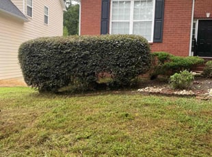 Bush Trimming by Miguel Vega for Justice A. in Jonesboro, GA