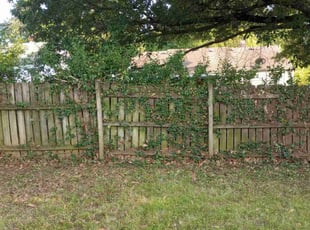 Bush Trimming by Lori Bremenkamp for Mallory W. in Kansas City, MO