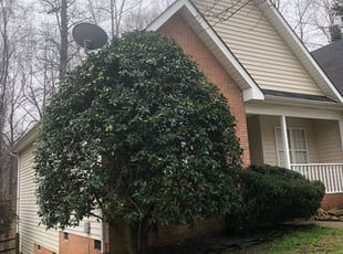 Cleanups by Marco Antenor for Sheilah S. in Charlotte, NC