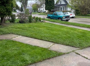 Cleanups by Kyle Yacko for Kassie T. in Roseville, MI