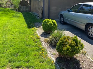 Mulching by Angel P. for Kathleen P. in West Springfield, VA