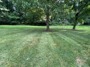 Bendu J.'s Lawn Mowing Service service result