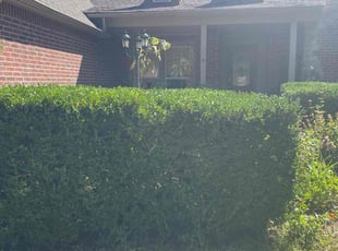 Bush Trimming by James Brown for Damion h. in Sand Springs, OK