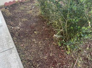 Weeding by Manny Chavez for Justin M. in Dumfries, VA