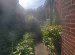 Bush Trimming by Shane Chabot for Orion F. in Columbus, OH