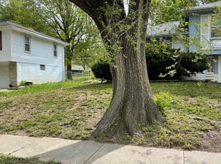 Leaf Removal by Bo Hickmon for Terry C. in Kansas City, MO