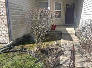Bush Trimming by Luis Contreras for Jeffrey C. in McCordsville, IN