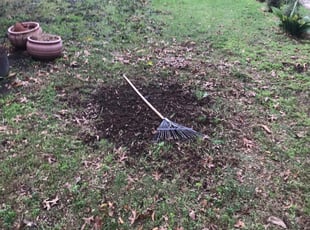 Cleanups by Mark Brague for Shelby J. in Virginia Beach, VA