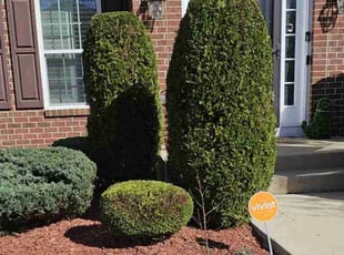 Mulching by Terrence Hawkins for Adam J. in Waldorf, MD