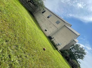 Weeding by Raul Cisneros for Carlos G. in San Antonio, TX