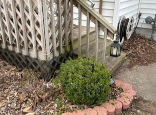 Bush Trimming by Mark Marin for Julie B. in Topeka, KS