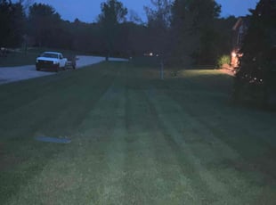 Rosalinda M.'s Grass Cutting service result