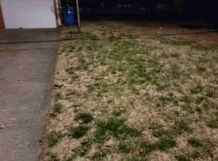 Cleanups by Perry Luna for Miyoschi G. in Granite City, IL