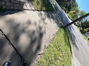 Cleanups by Christian Quito-Bautista for Ali F. in Minneapolis, MN